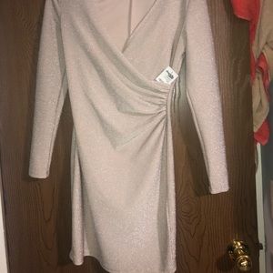 Bodycon Glitter dress